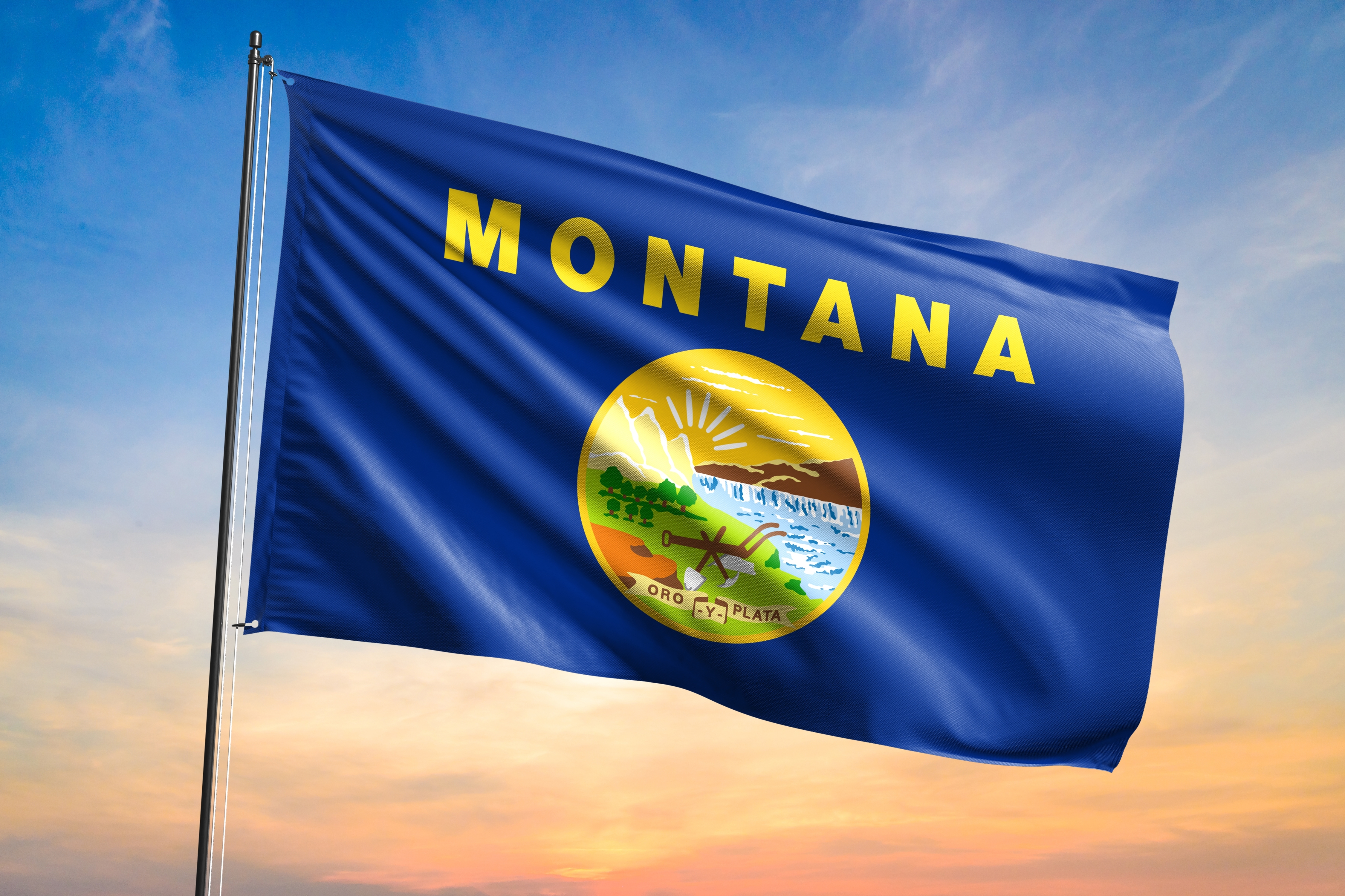 Montana flag